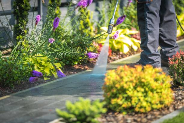 Best Roof Washing  in East Orange, NJ